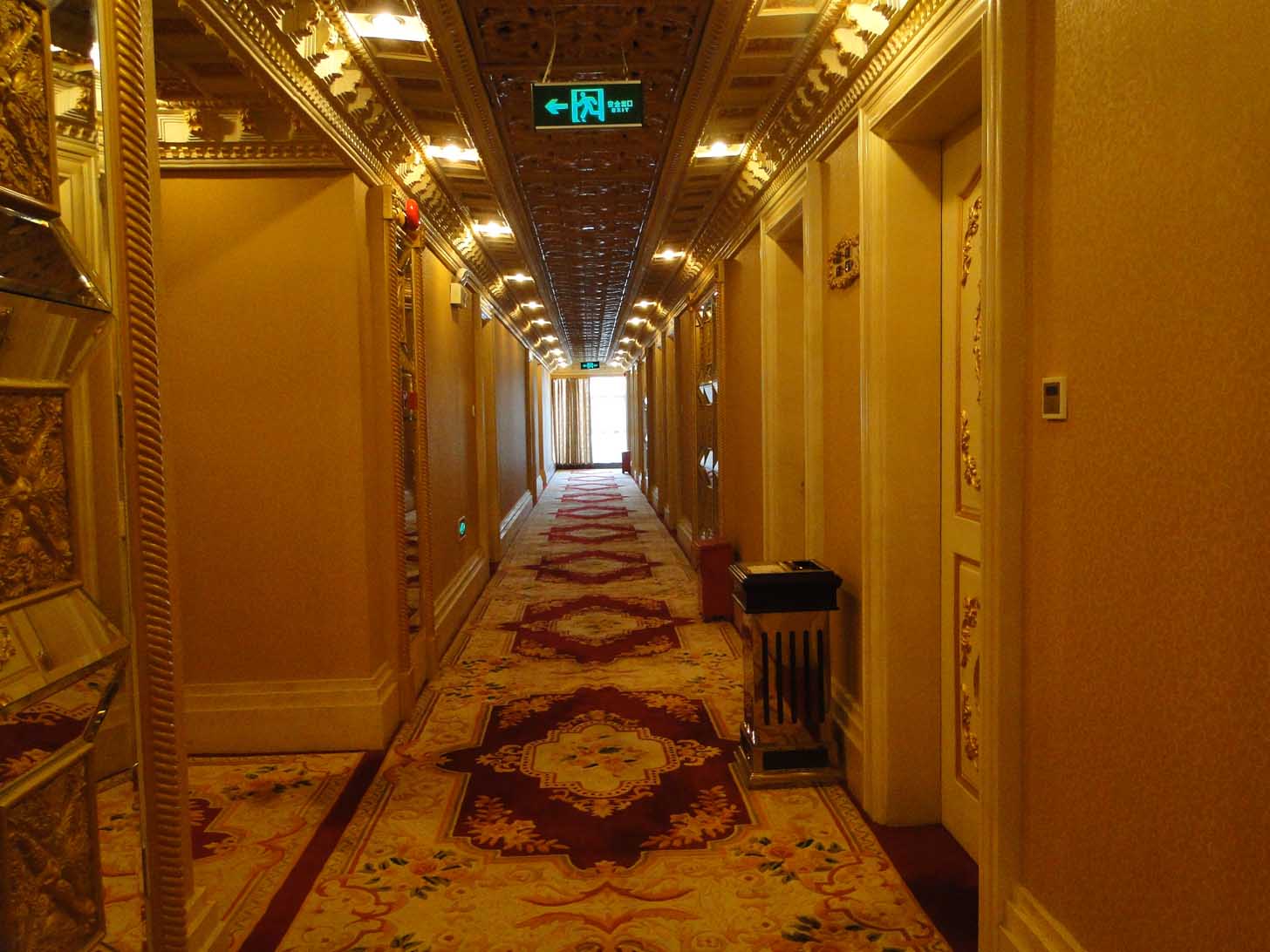 20450371465.JPG 20450371465.JPG